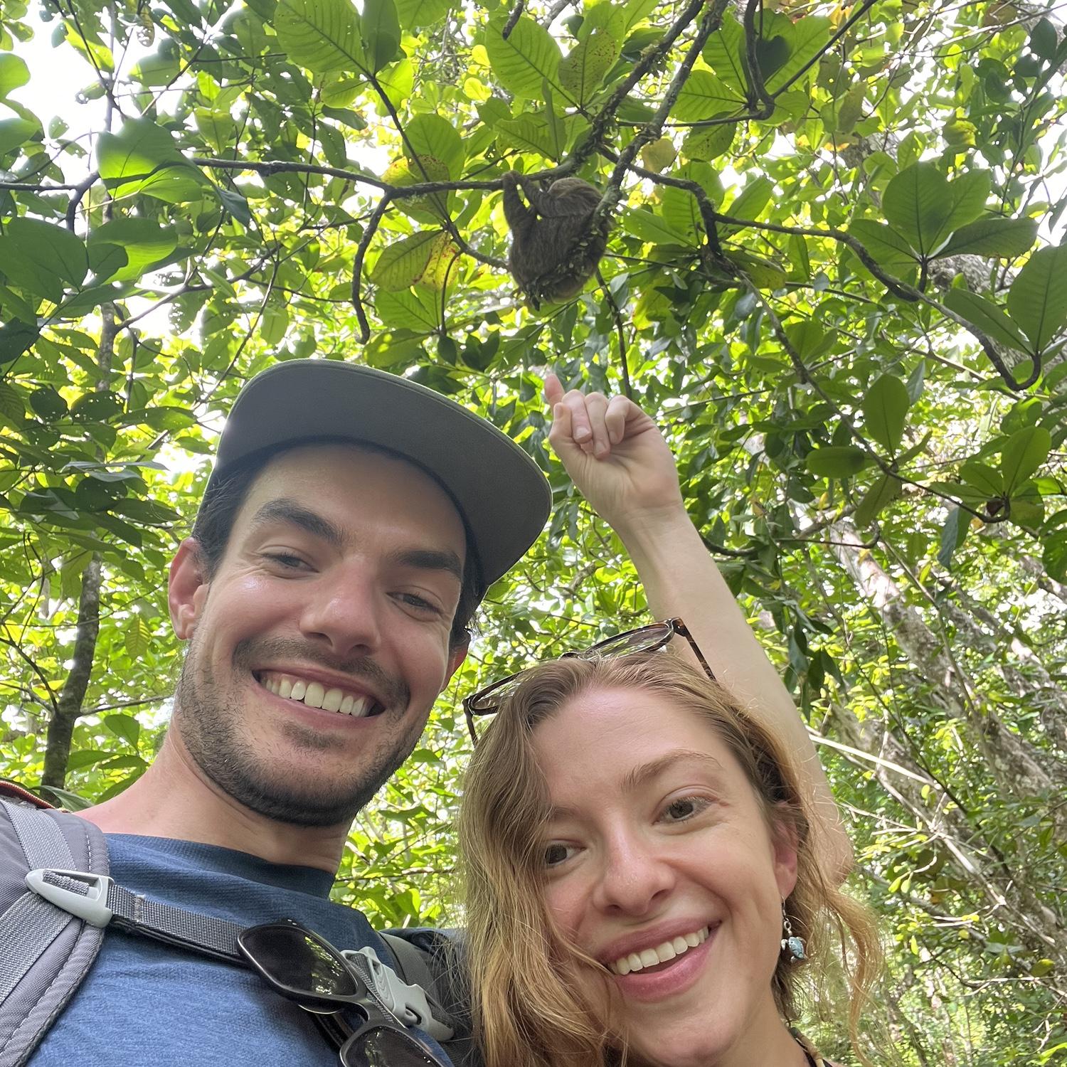 Looking for sloths in Panama