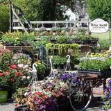 Wild Rose Garden Center
