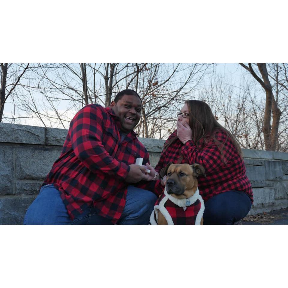 Miles proposed during out Christmas photo shoot!