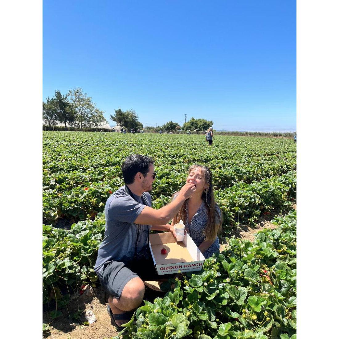 16 de julio de 2022. Pasé el día recogiendo fresas en Gizditch.