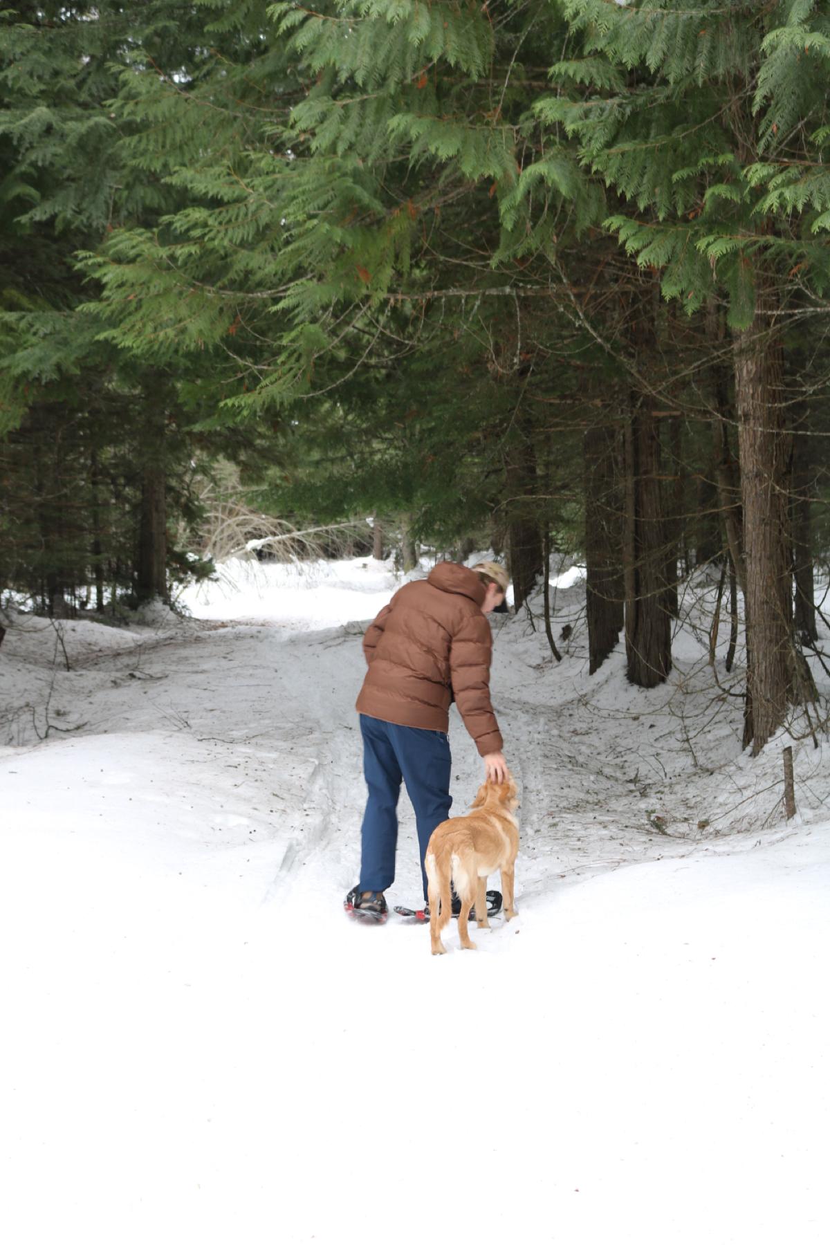 The most beautiful time for our back property is the winter; no mosquitos, fresh powder, snowshoe paths, and cross country skiing.