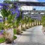 Naples Botanical Garden