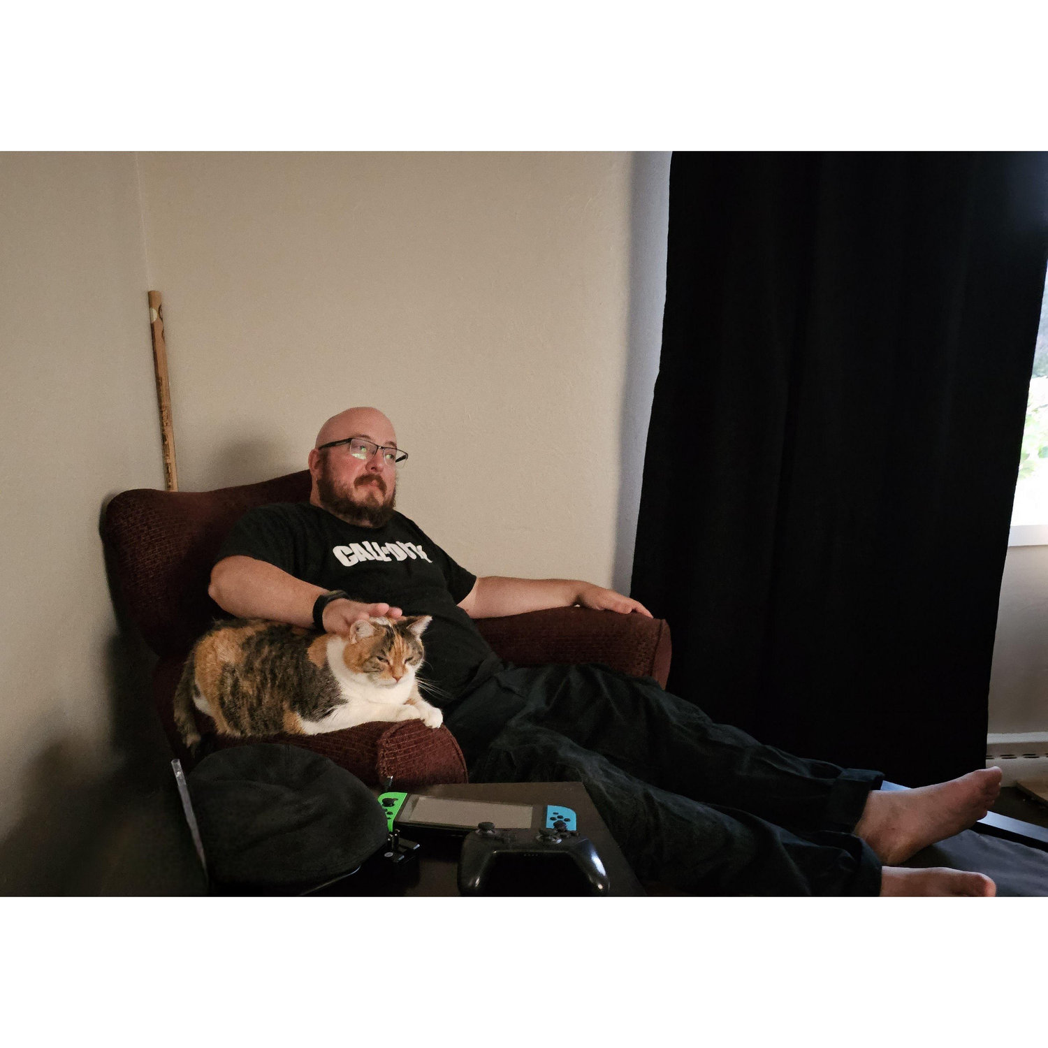 Truly a shame that Rogue didn't take to Josh and had a tough time adapting to her new home....as you can see here in this picture of her.
