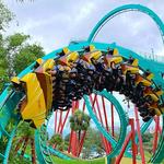 Busch Gardens Tampa Bay