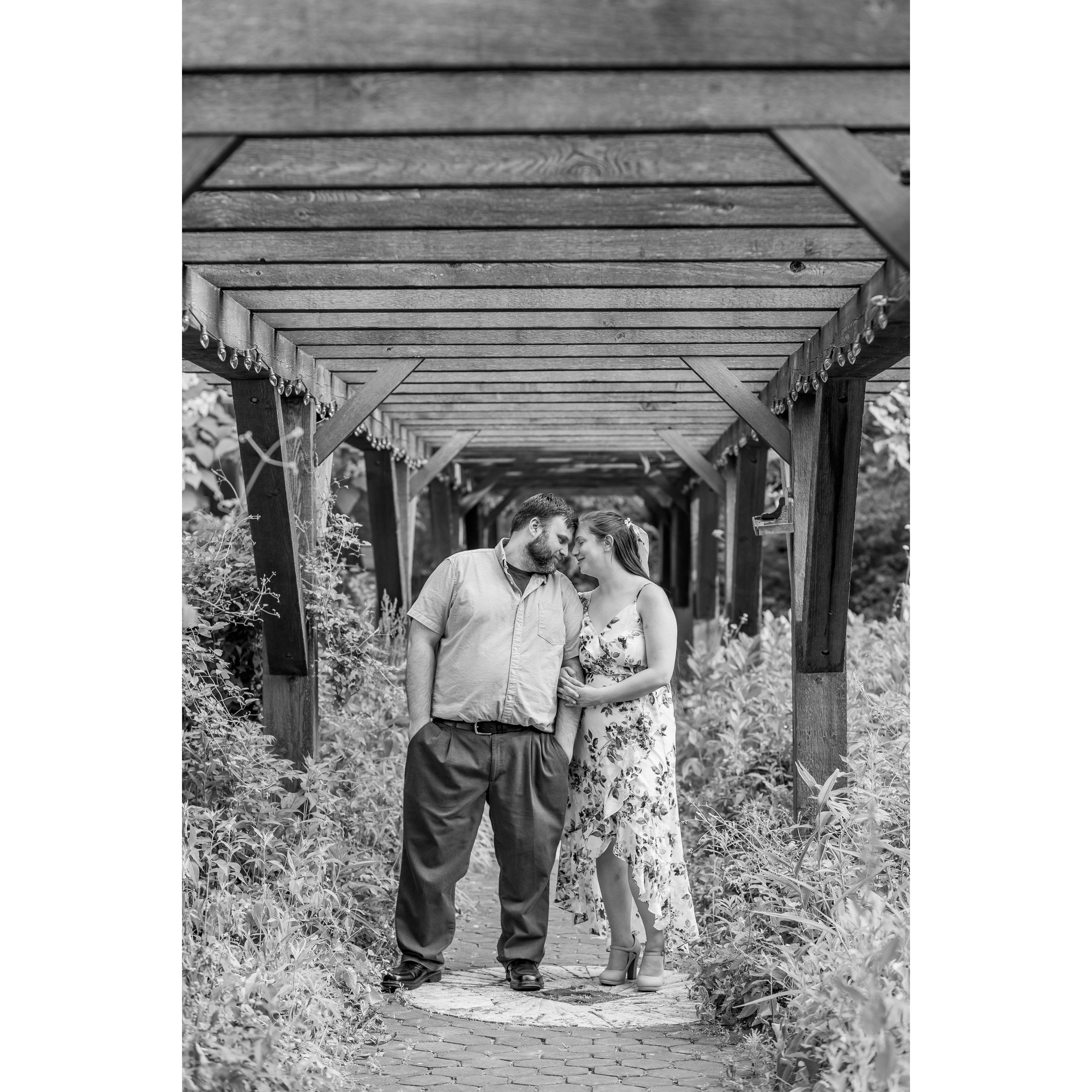 We did an Engagement photo shoot through Minnetrista's paths and gardens in June of 2023.