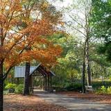 Botanical Garden of the Ozarks