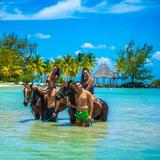 Swim Horse Punta Cana