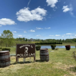 Molon Lave Vineyards and Winery