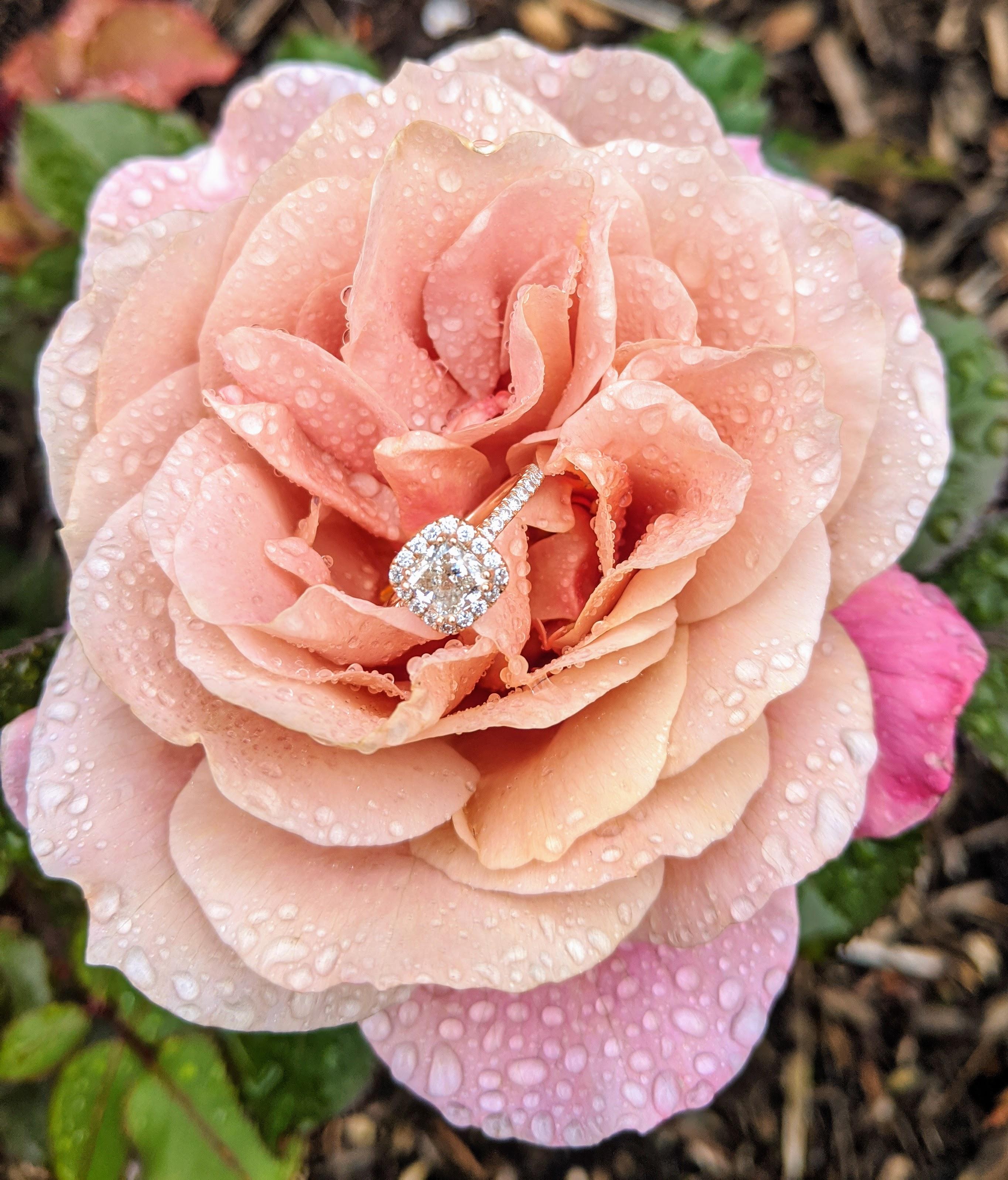 The Wedding Website of Dominique Tuke and Federico Torres Jr.