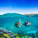 Snorkeling