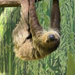 Catoctin Wildlife Preserve