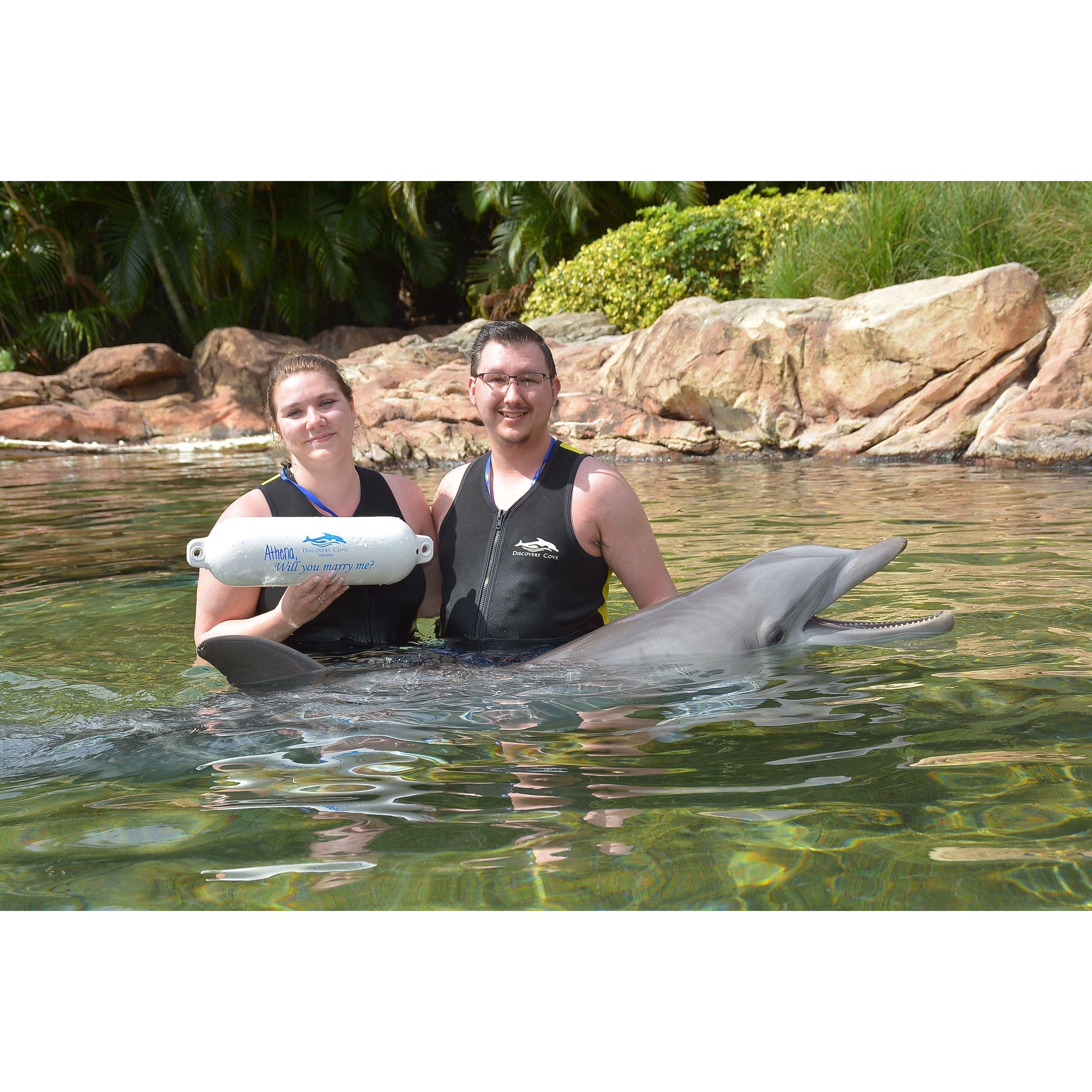 He had a little help winning me over from our dolphin friend.