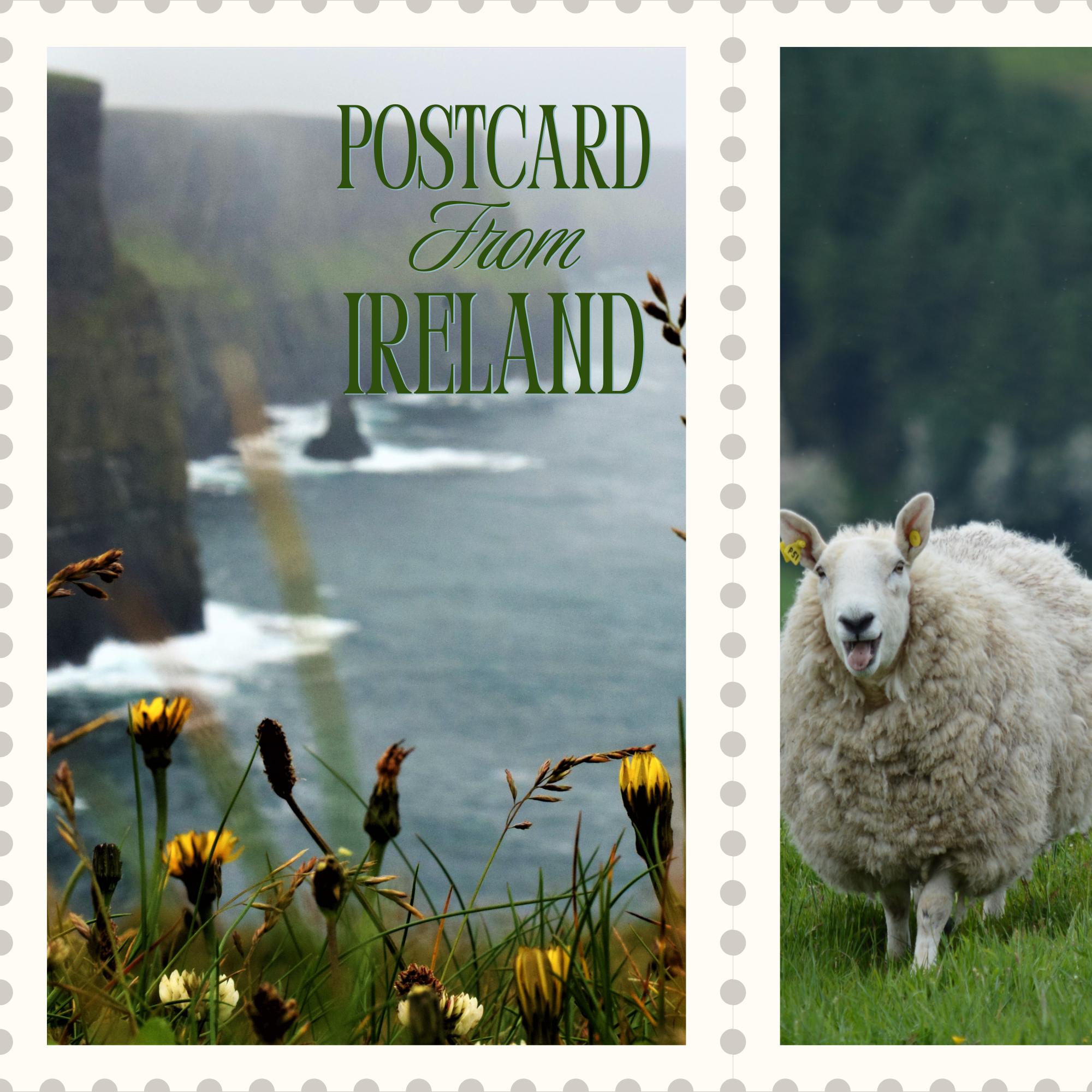 honeymoon funny money