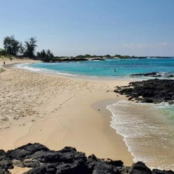 Help us go to Hawaii!