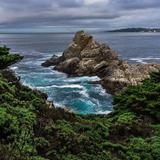 Point Lobos State Natural Reserve