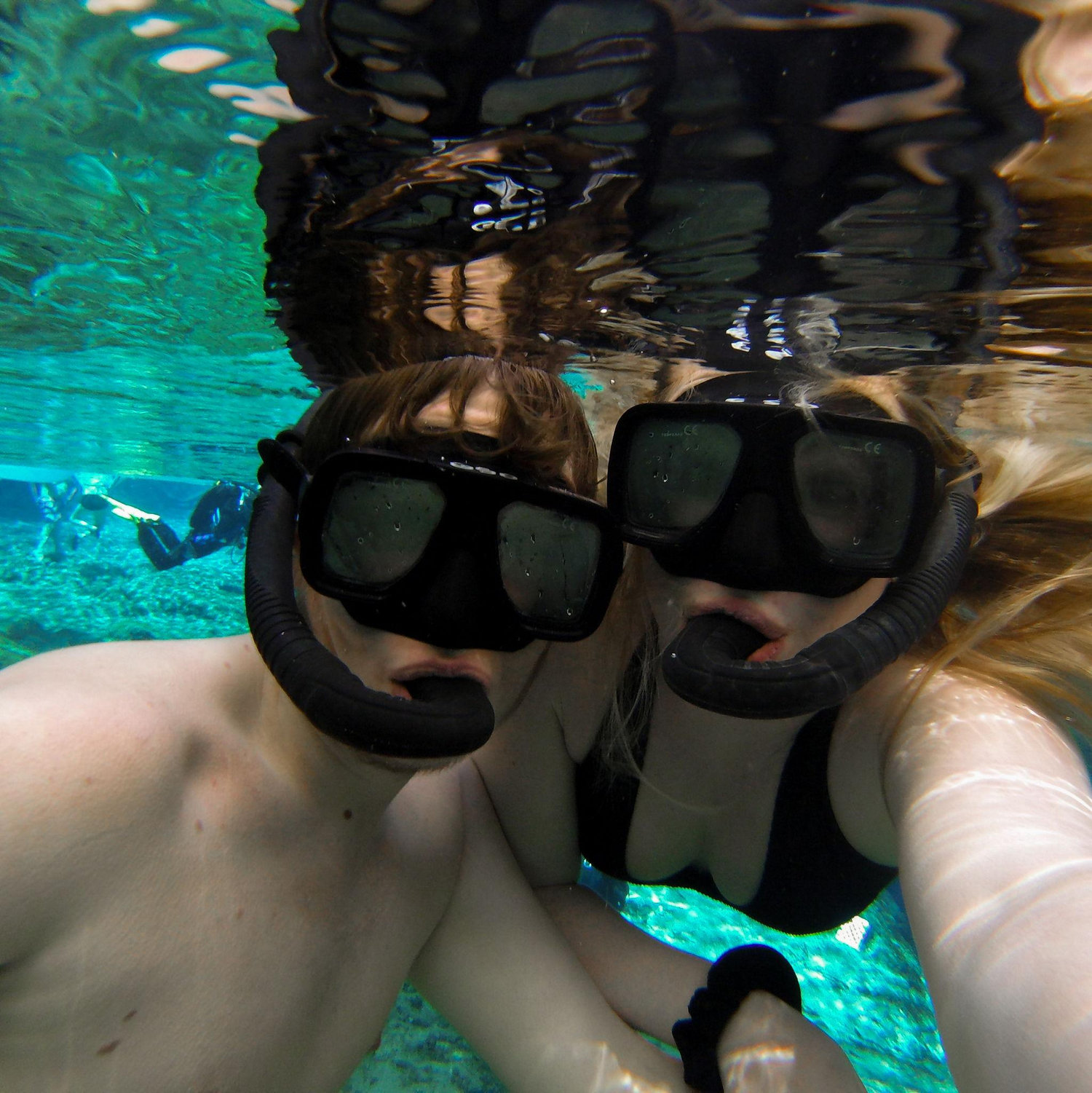 Snorkeling in Ginnie Springs, FL! 2022