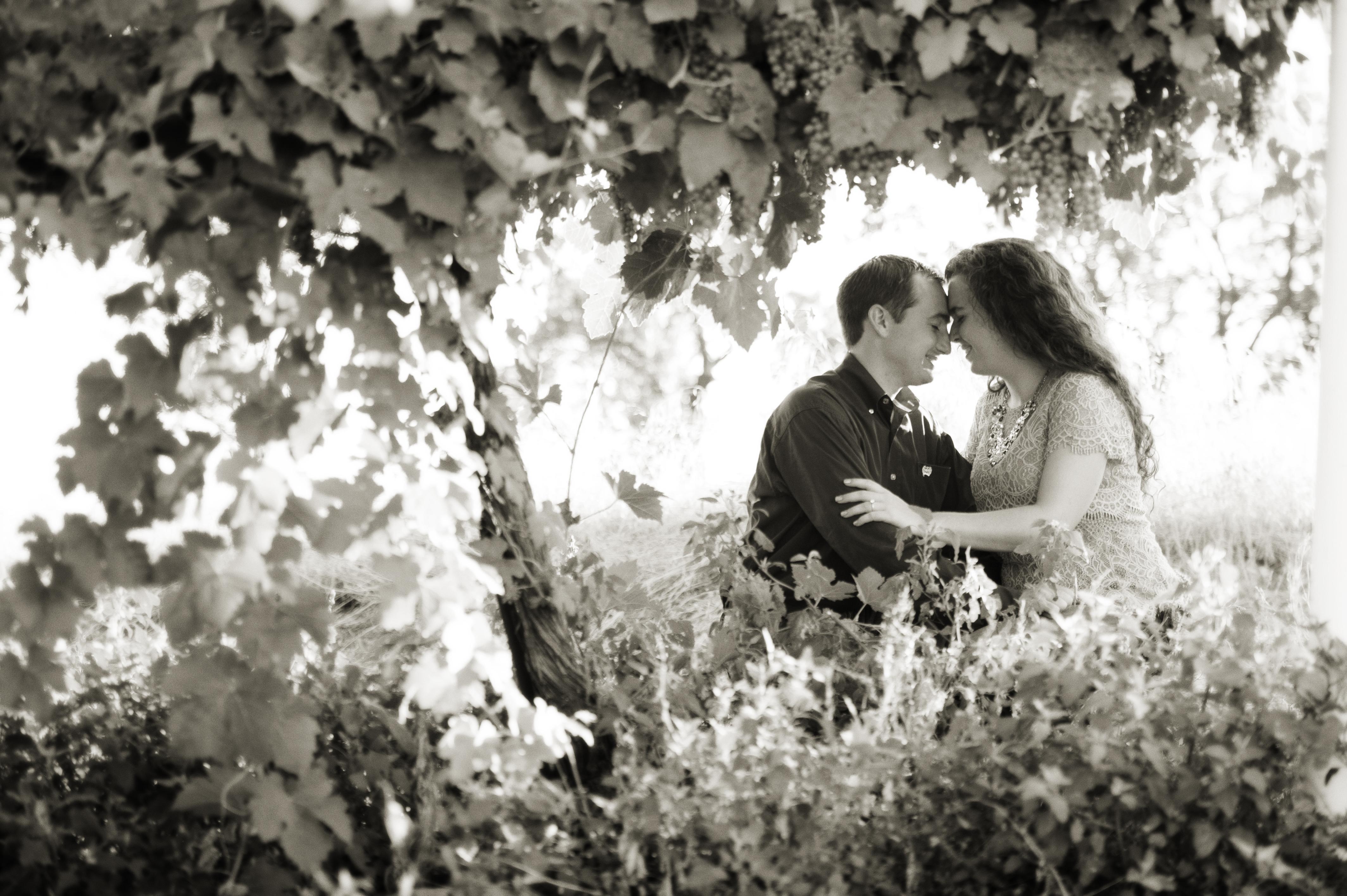 The Wedding Website of Crestina Batchelor and Collin Abraham