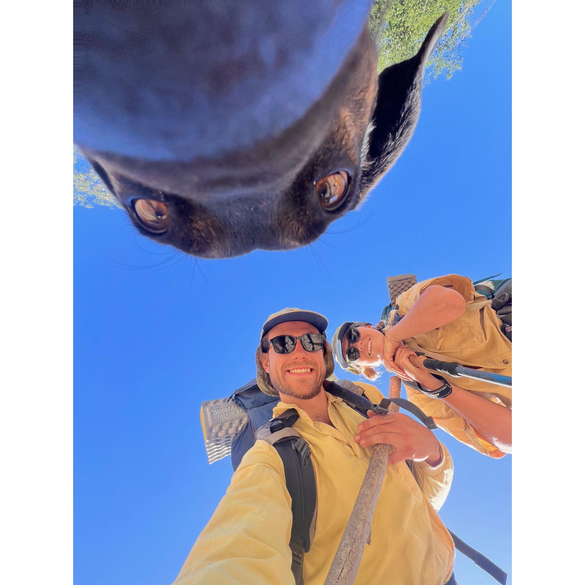 Backpacking last spring in the same mountain range where we will get married!