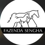 Fazenda Sengha