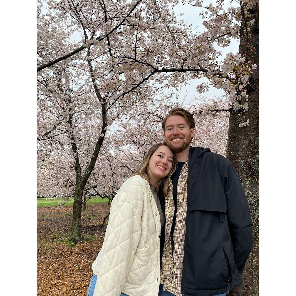 In DC, checking out the cherry blossoms