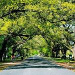 Audubon Park