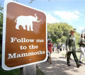 Waco Mammoth National Monument