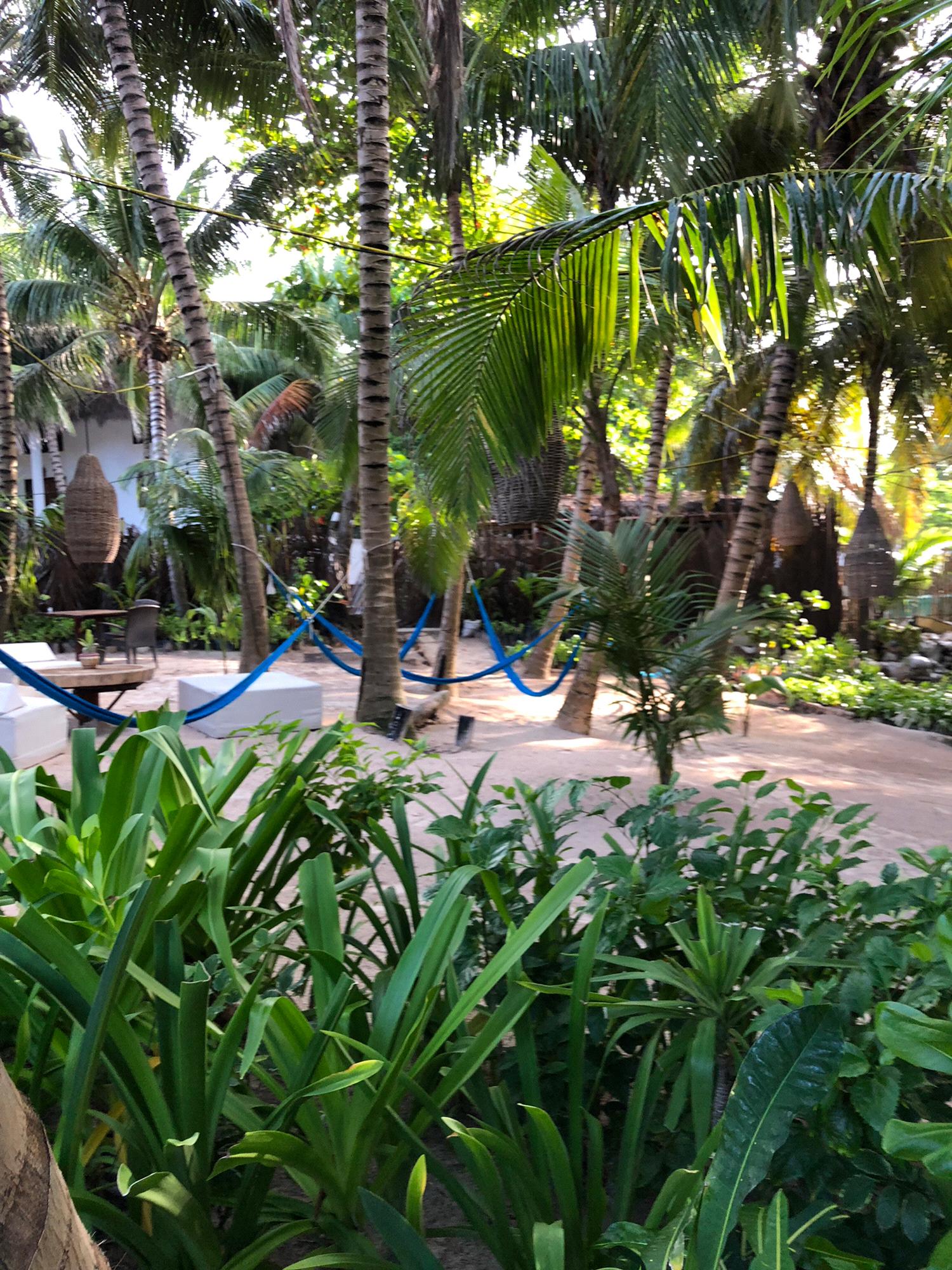 Nomade Tulum