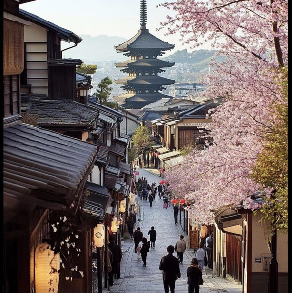 Kyoto Activities
