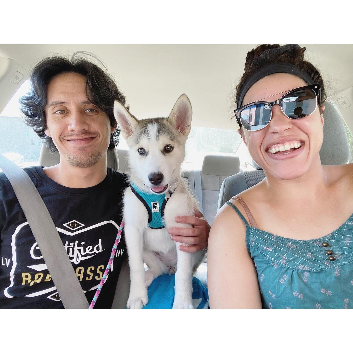 Shortly after we moved in together, we found (in our opinion) the best dog in the world, our sweet Pualena, Pua for short. July 2020