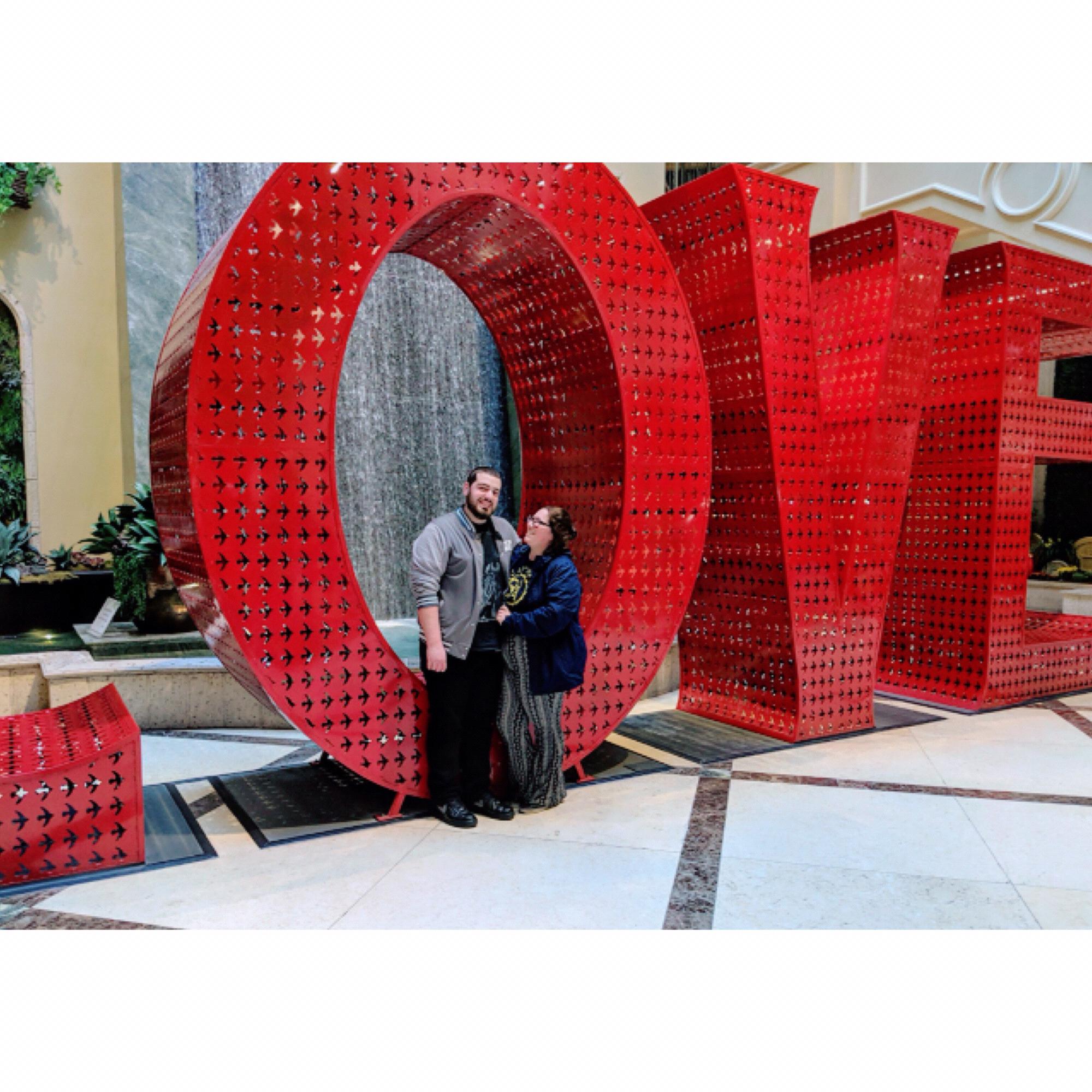 The Venetian in Las Vegas