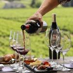 Wine Tasting
