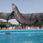 Miami Seaquarium