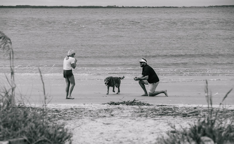 Kelly Eacho and Patrick Holloway's Wedding Website