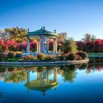 Forest Park