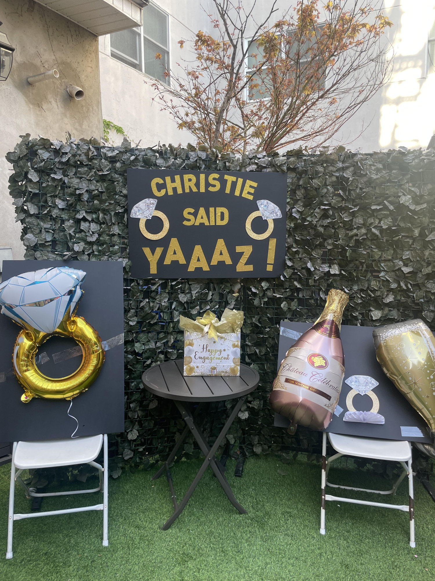 The Wedding Website of Christina Martin and Yazaen Hazin