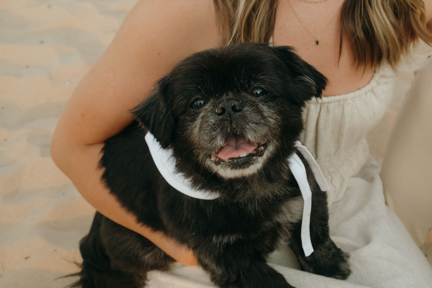 The Wedding Website of Desirae Dowding and Brett Hresko