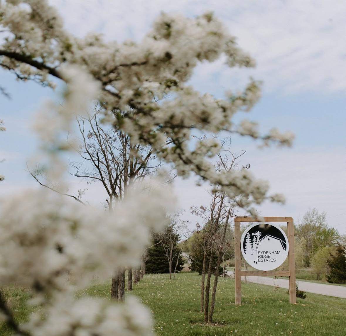 The Wedding Website of Alex Culley and Chris Sutherland