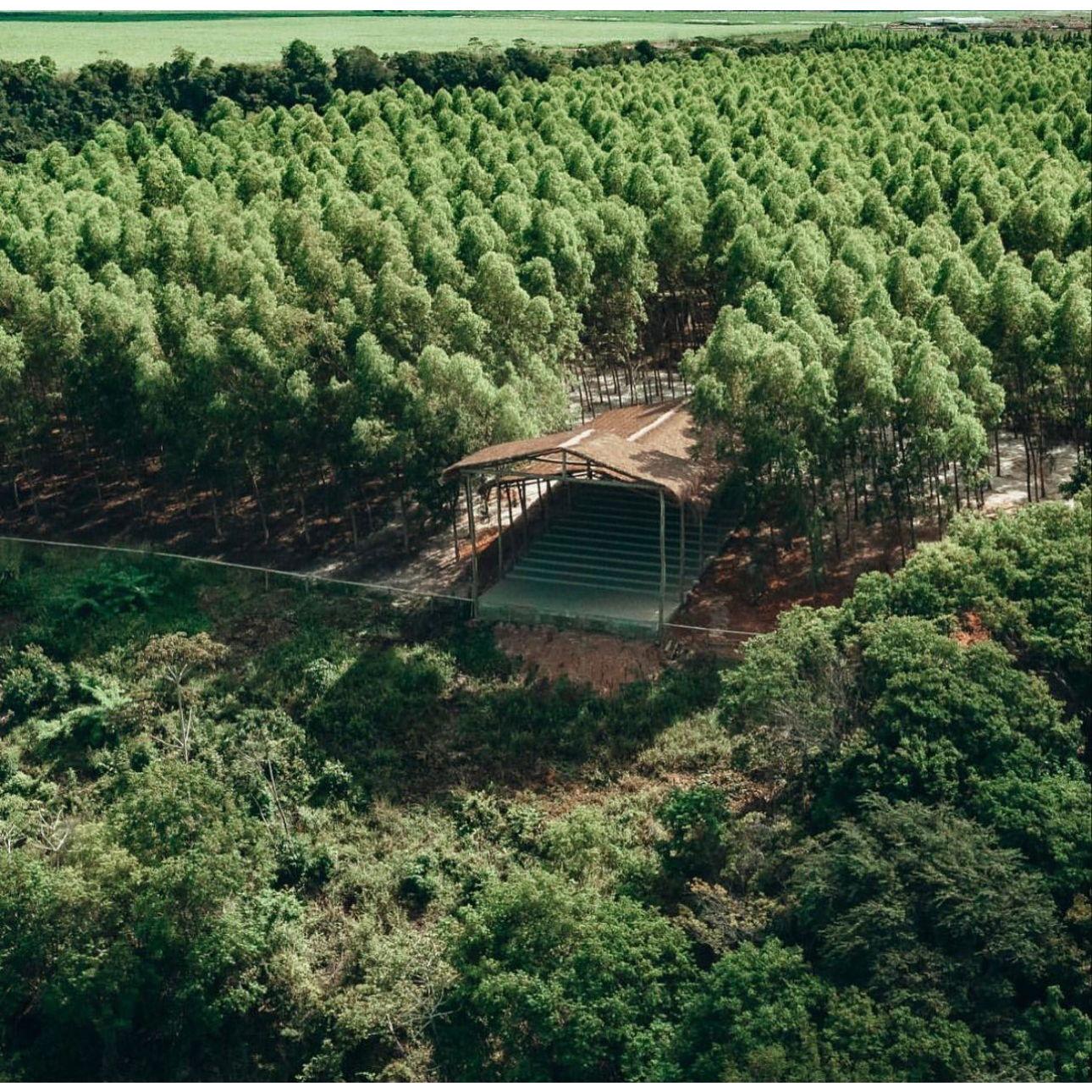 Wedding Venue