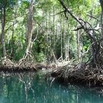 Los Haitises National Park
