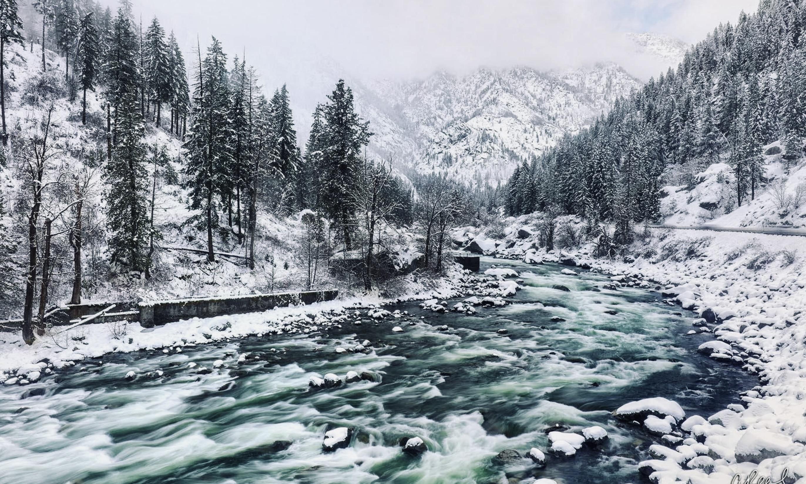 The Wedding Website of Elena Edington and Paul Campbell