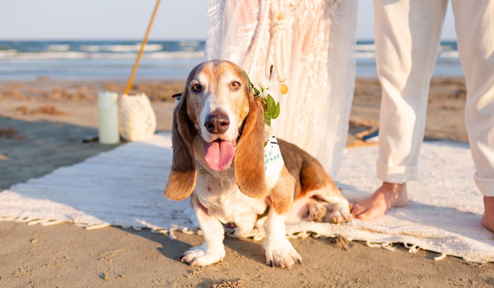 The Wedding Website of Jessica Porras and Javier Ocampo