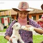 Panaca