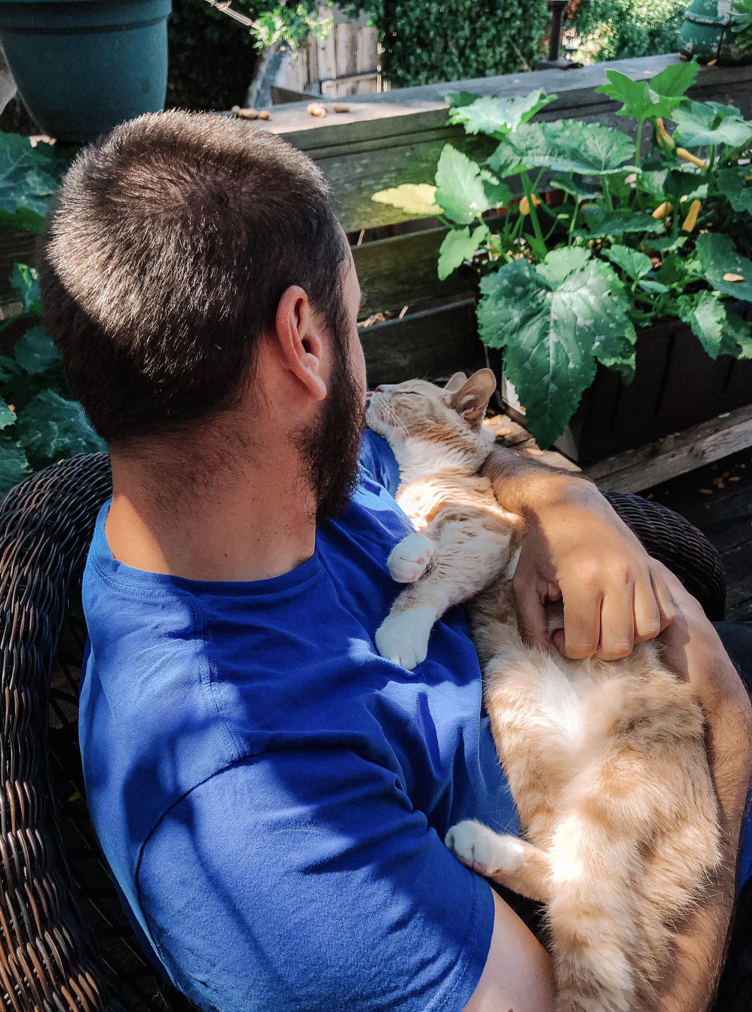 Chris: “I don’t like cats”