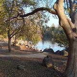 Woodward Park