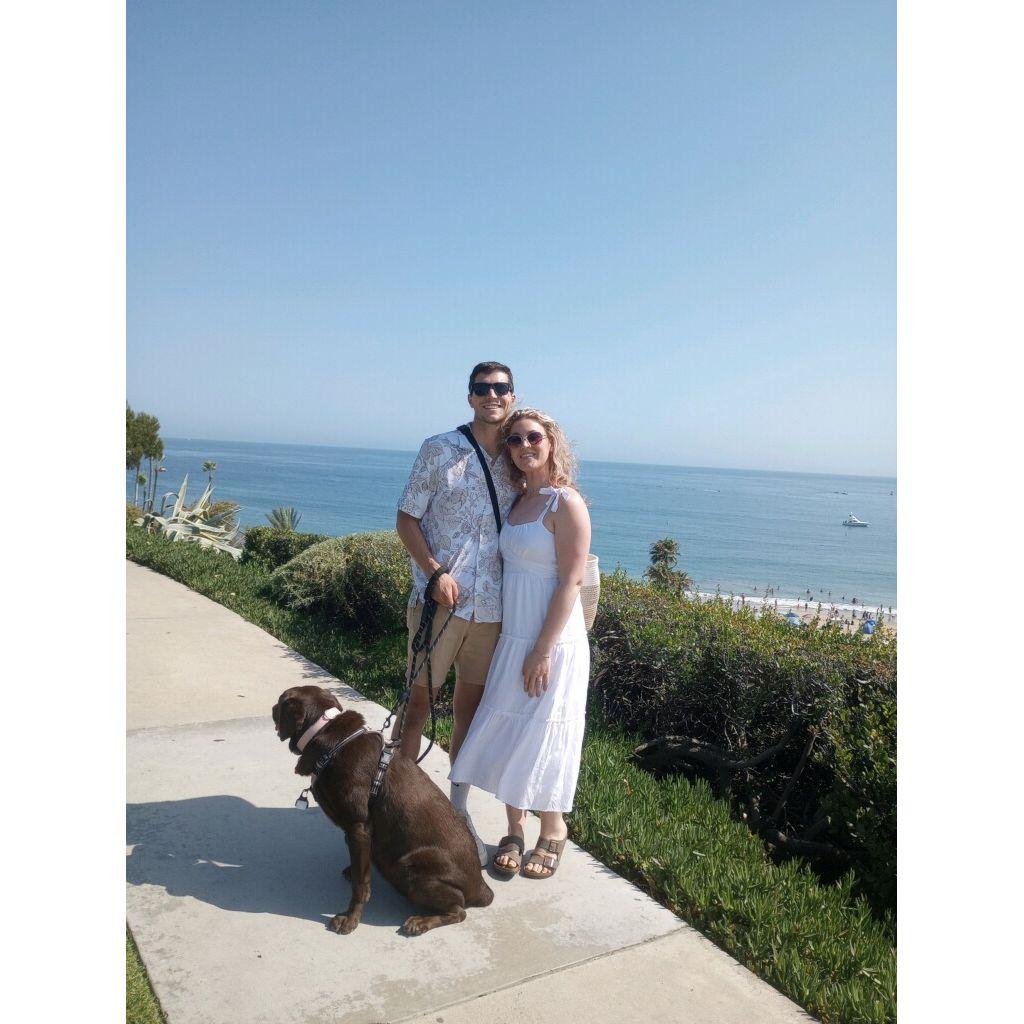 picked up our marriage license - August 2024