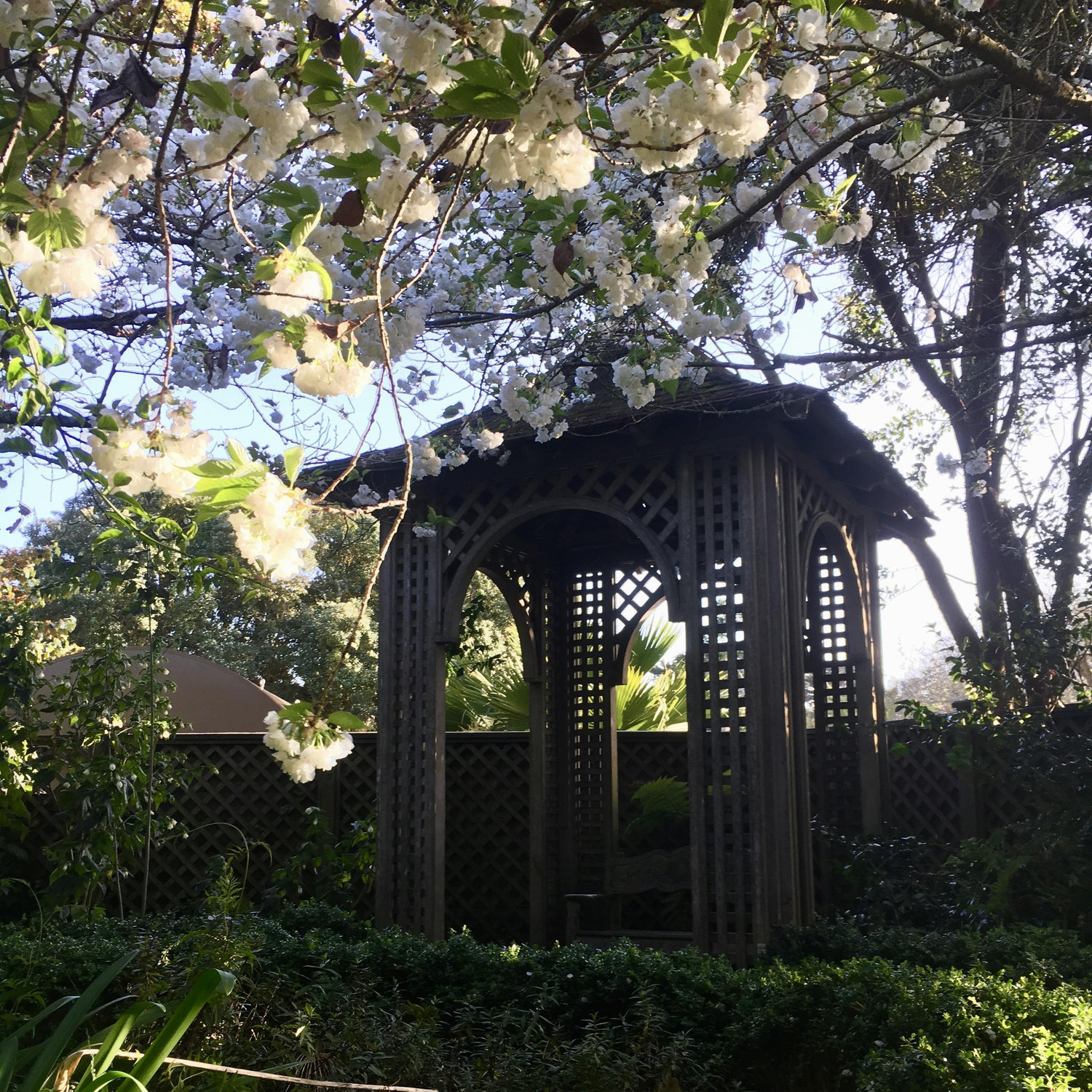 This secluded little corner of the Botanical Gardens is where Max proposed (and where Laura promptly snatched the ring from him, forgetting that she was supposed to say "yes" first.