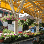 Roanoke City Farmers Market