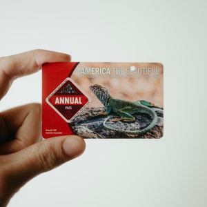 America the Beautiful - Annual Pass