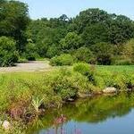 Arnold Arboretum of Harvard University