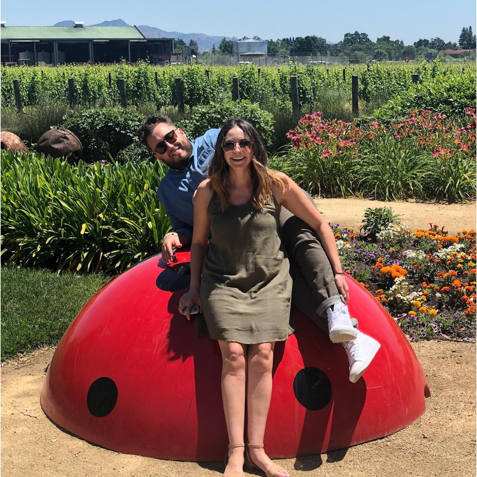 Napa
June 2, 2019